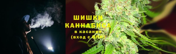 ешки Белокуриха
