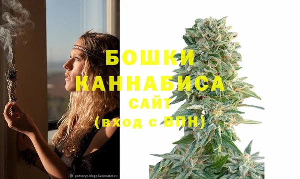 ALPHA PVP Беломорск