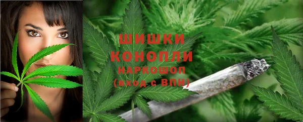 ALPHA PVP Беломорск