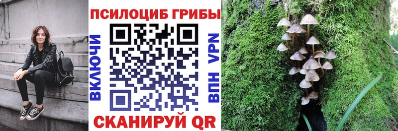 Псилоцибиновые грибы Magic Shrooms  Волгореченск 